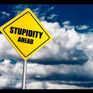 Collective Stupidity – does it exist?