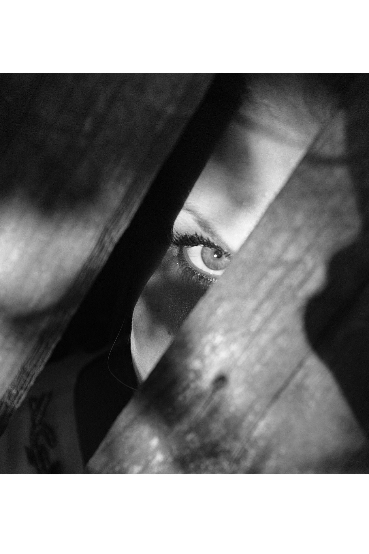 Escaping the Prison of Fear with Special Co-host Dr. Pat Baccili