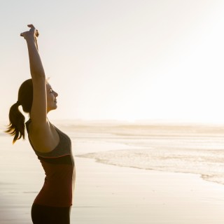 Learn about the Healer Within featuring Dr. Roger Jahnke