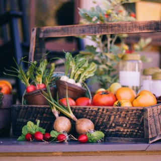 Quieting the noise around diet and nutrition