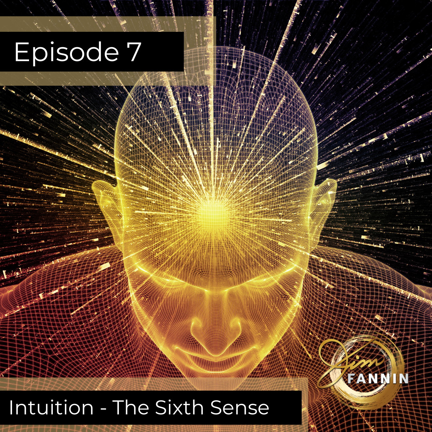 Intuition 