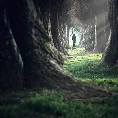 The OM Factor - My Escape From Perpetual Darkness With Special Co-Host Dr. Pat Baccili