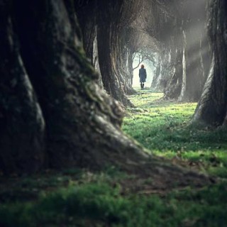 The OM Factor - My Escape From Perpetual Darkness With Special Co-Host Dr. Pat Baccili