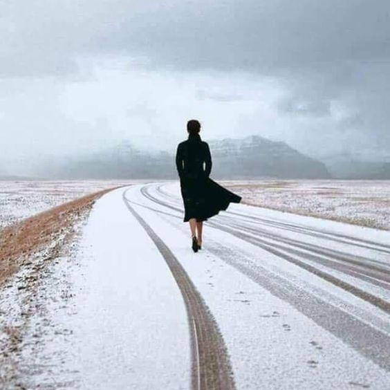 75.  The Discipline Protocol 