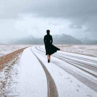 75.  The Discipline Protocol 