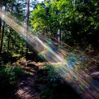 Energy Healing with Sonja Grace