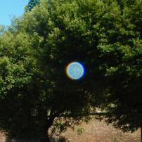 The Orb Connection with Nancy Myers