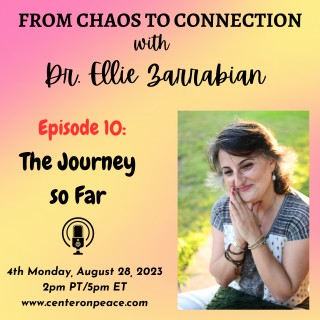 Episode 10: The Journey so Far