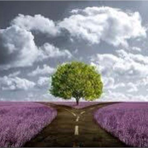 85.  Desire vs. Reality: Unlocking Vibrancy, Connection, and Meaning in a Modern World