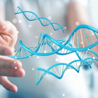 Bioregulators: The regenerative power of peptides.