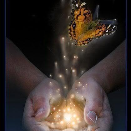 88.  Expectations Unveiled: Navigating Dreams and Desires in a World of 'Shoulds'"