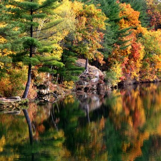 The Mega Equinox September 22-23 with Dr. Dixie Short (AKA Dr. Dee)