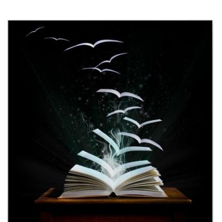 92. Discovering Your Depth: 5 Essential Roles for Self-Exploration