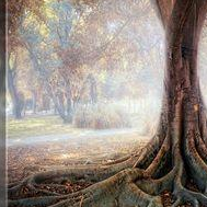 94. Mandates of Maturity – Rules for a Fulfilling Life 