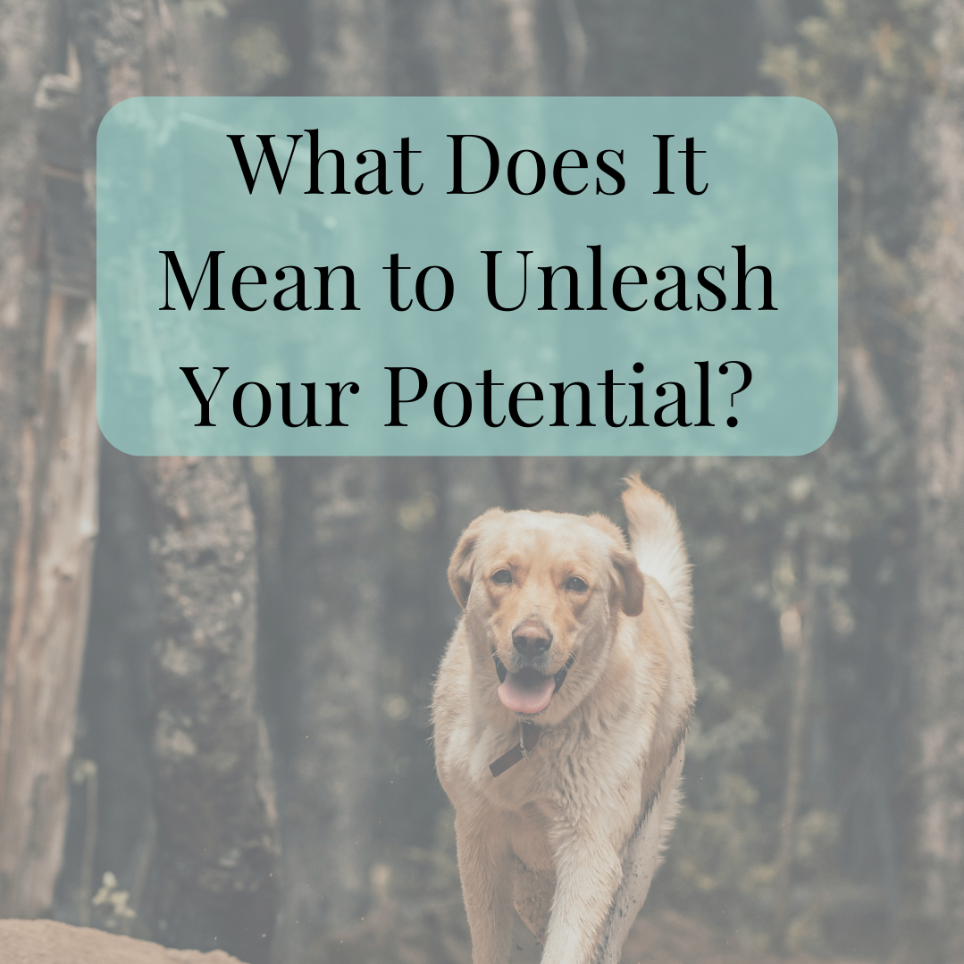 What Does It Mean to Unleash Your Potential?