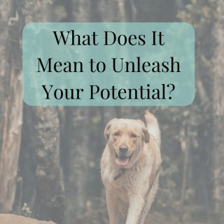 What Does It Mean to Unleash Your Potential?