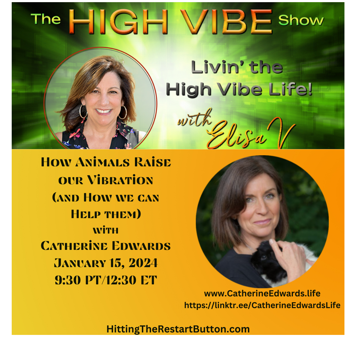 How Animals Raise Our Vibration (and how we can help them) with Guest Catherine Edwards