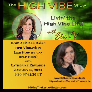 How Animals Raise Our Vibration (and how we can help them) with Guest Catherine Edwards