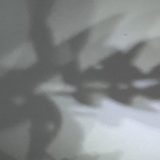 The Belief in Evil