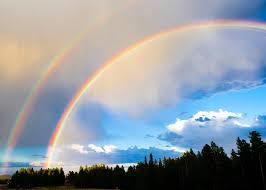 Awakening Your Sacred Path to Living in Alignment