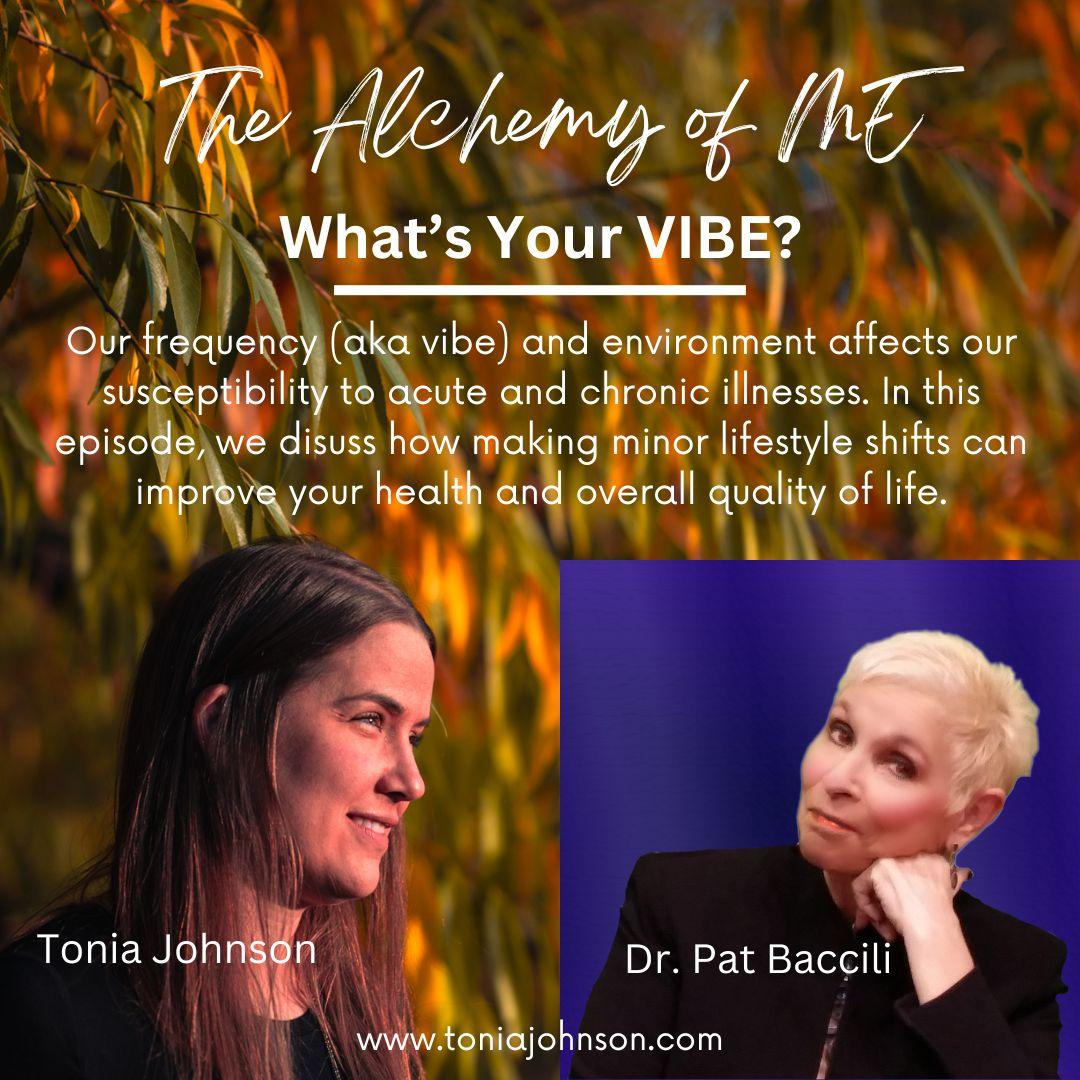 What's Your VIBE? 