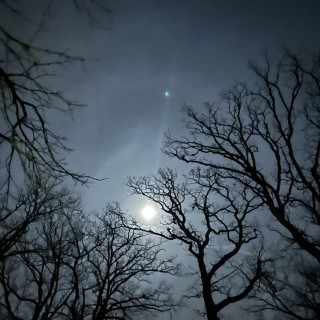 Cancelling Aggressive Behaviors