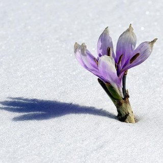 Seasons of Growth