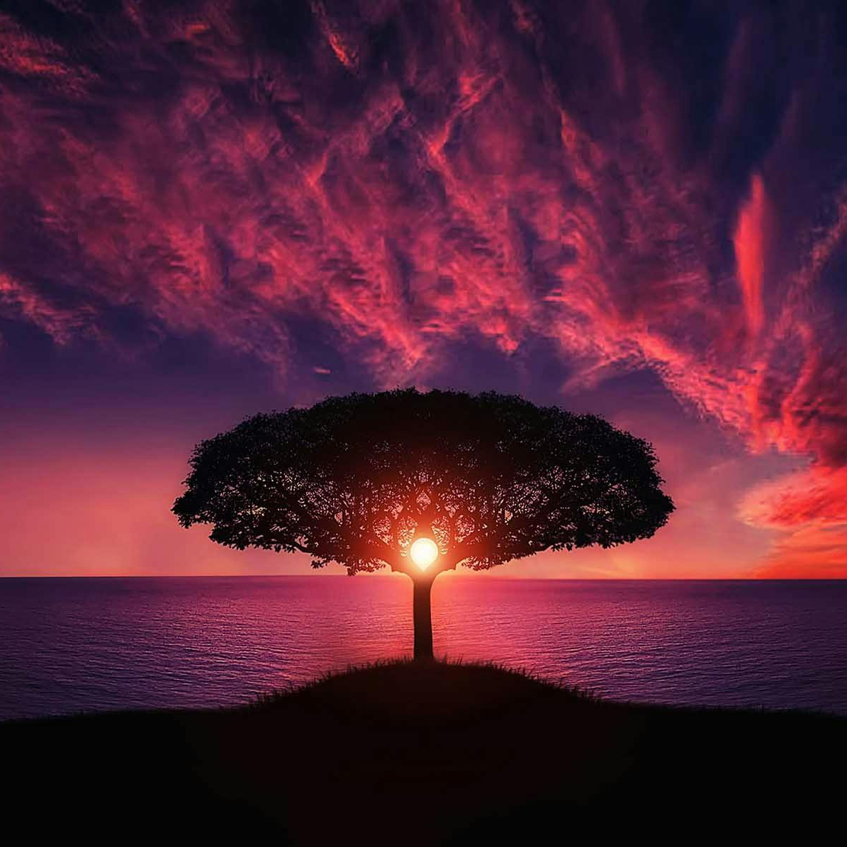 Connecting with our loved ones on the other side of the veil with special guest- David Buck