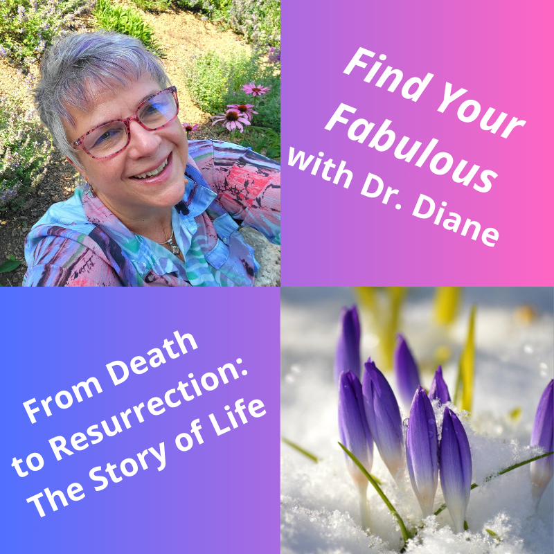From Death to Resurrection: The Story of Life.