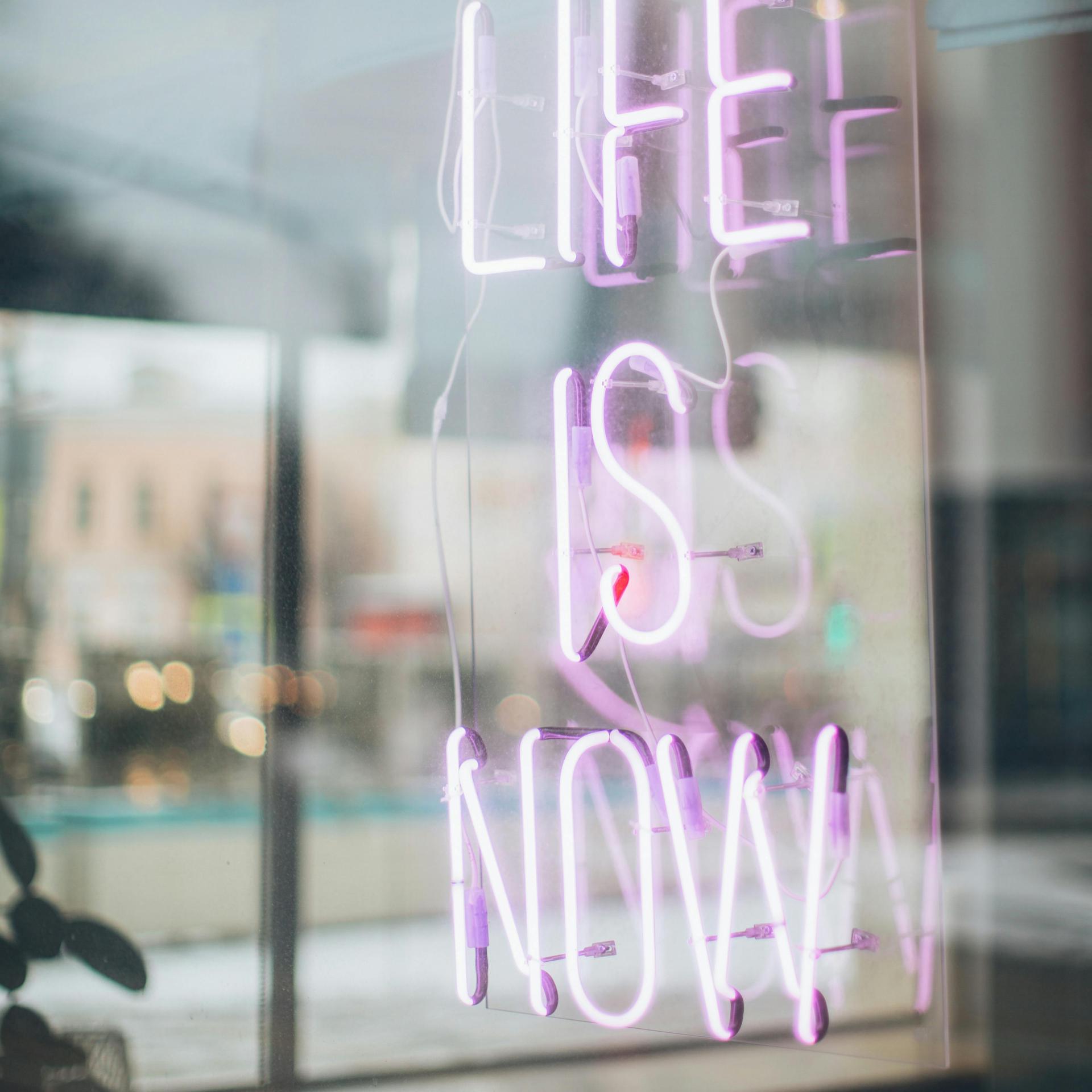 You Got it All Wrong—The Real Purpose of Lived Experience, PART II