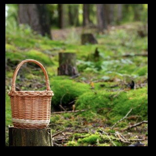 Finding magic in the mundane 