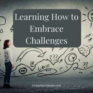 Learning to Embrace Challenges
