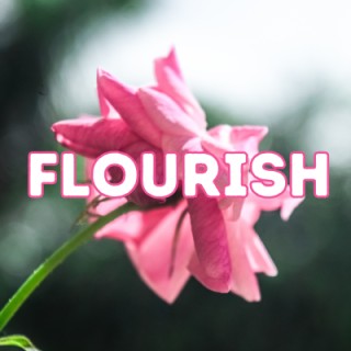 Secrets to Flourishing with Beth Larsen
