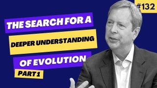 The search for a deeper understanding of evolution