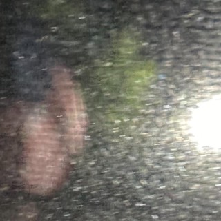 Co-existence and Other Lives