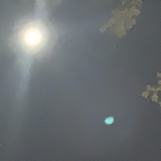 The Meaning of Equality in the Universe