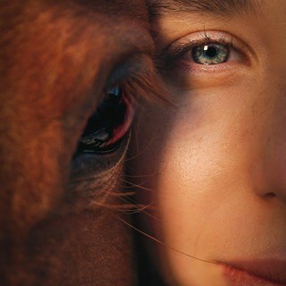 Alchemy with Horses with special guest- Brenda Westwood