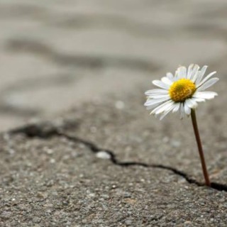 Finding Your Resilience with Mindset Coach Sally Allen