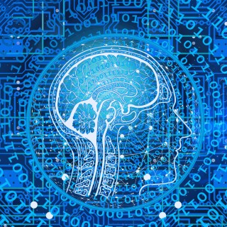 Programing – why is it toxic for you? 