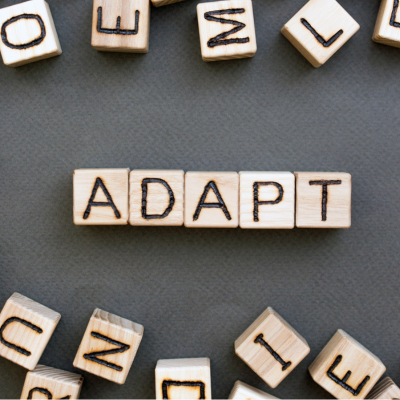 A Sprinkle of Adaptability