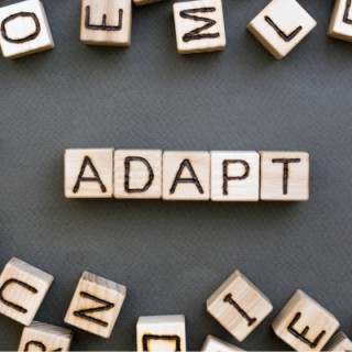 A Sprinkle of Adaptability