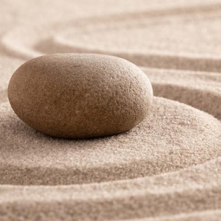Episode 13. Title:     What Is All this Buzz about Mindfulness?