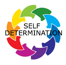 Using the Power of Self-Determination to Alleviate the Harmful Effects of Stress in Children