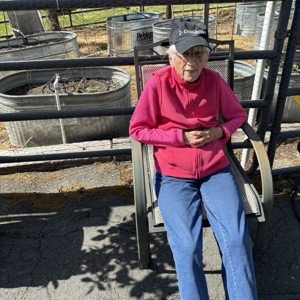 Dementia Lessons – an Intuitive perspective!