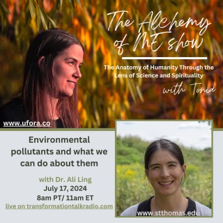 Environmental pollutants and what we can do about them