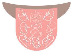 The Body Can with Dr Randi Shannon The Body Can with Dr Randi Shannon