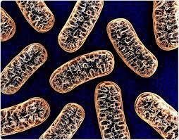 Living Your Best Life with Dr Lee Know.