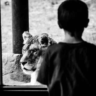 Lion's Gate Portal Alignment with special guest- Dr. Pat Baccili