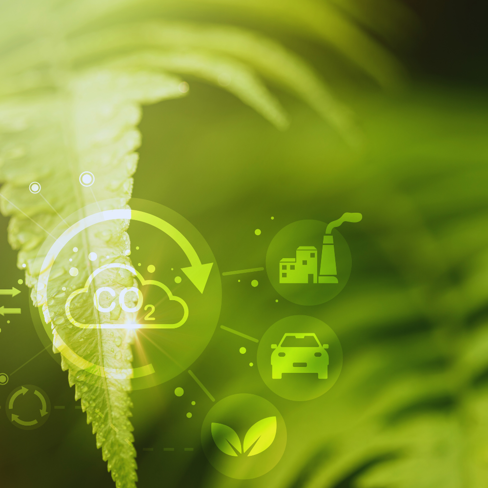 Carbon footprint – major missing piece! 