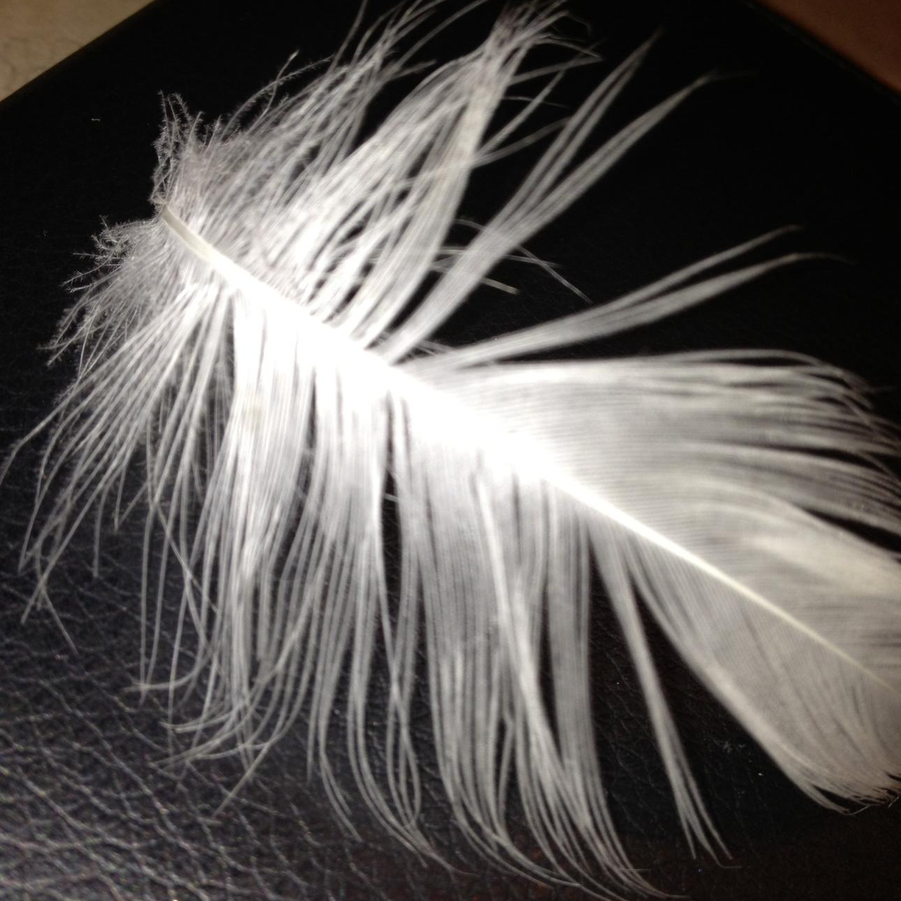 Unconditional Love and Acceptance of Others Yields Internal Peace